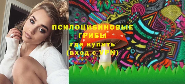 Альфа ПВП Абаза